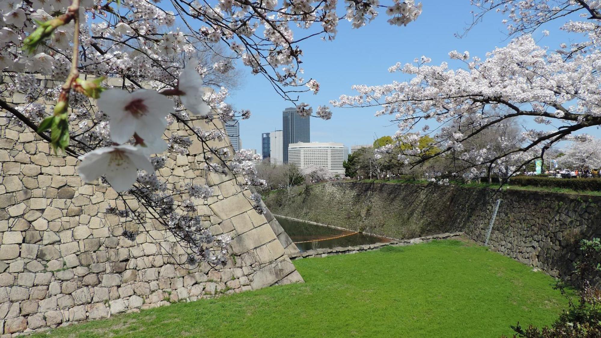 Hotel New Otani Osaka Dış mekan fotoğraf Sakura at the castle